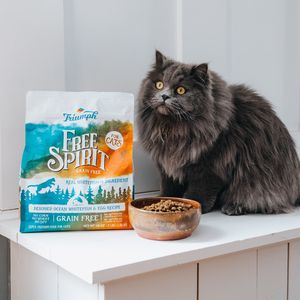 Image post by @triumphpetfood on Instagram