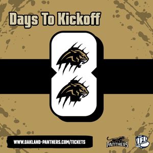 Image post by @panthersifl on Instagram