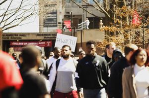 Image post by @templeowls on Instagram