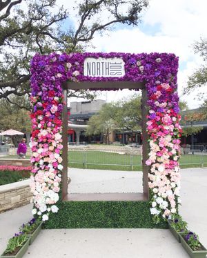 Image post by @thebloombartx on Instagram