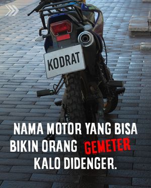 Image post by @boldriders on Instagram