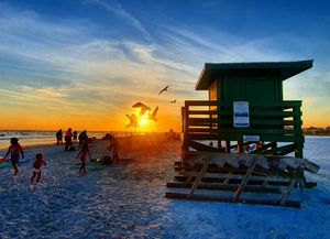 Image post by @visitsarasotacounty on Instagram