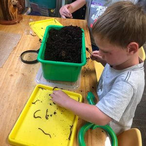 Image post by @kidsgardening on Instagram