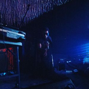 Image post by @treefortfest on Instagram