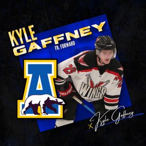 Image post by @nanookshockey on Instagram