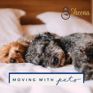 Image post by @sheenacochranfosterhomes on Instagram
