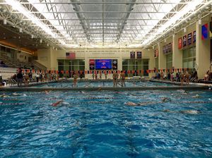 Image post by @fordhamswimdive on Instagram