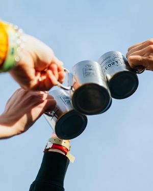 Image post by @treefortfest on Instagram
