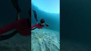 Video post by @gopro on YouTube