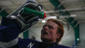 Image post by @NiagaraMHKY on Twitter/X