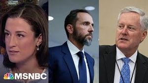Video post by @msnbc on YouTube