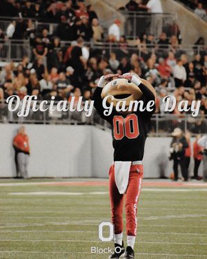 Image post by @osublocko on Instagram