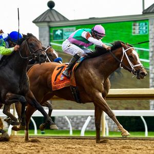 Image post by @spendthriftfarm on Instagram