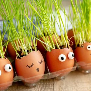Image post by @kidsgardening on Instagram