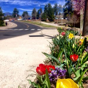 Image post by @nauflagstaff on Instagram