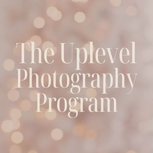 Image post by @thismodernlovephoto on Instagram