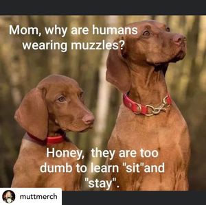 Image post by @itsphilipshouse on Instagram