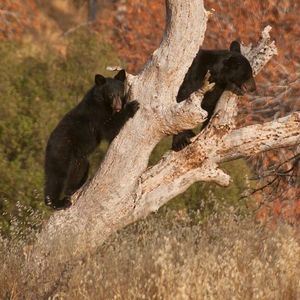 Image post by @nationalparkservice on Instagram