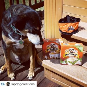 Image post by @dogstersicecream on Instagram