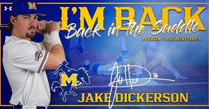 Image post by @mcneesebaseball on Instagram