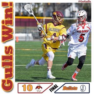 Image post by @suseagulls on Instagram