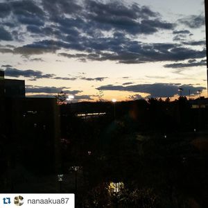 Image post by @iupedu on Instagram