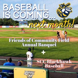 Image post by @burlington_bees on Instagram