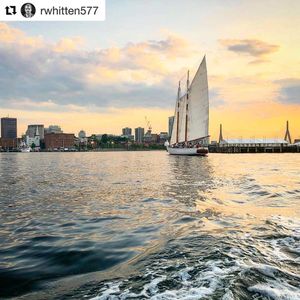 Image post by @reelhouseboston on Instagram