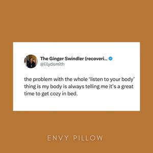 Image post by @envypillow on Instagram
