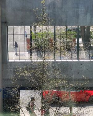 Image post by @mtl_unscripted on Instagram