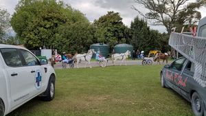 Image post by @NZHorseAmbulanceTrust on Facebook