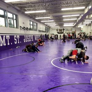 Image post by @brownu_wrestle on Instagram