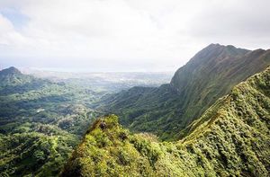 Image post by @olukai on Instagram