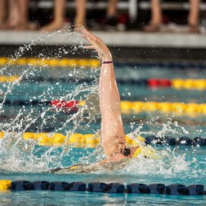 Image post by @umichswimdive on Instagram