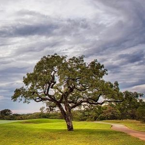 Image post by @alexknappegolf on Instagram