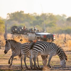 Image post by @chiawasafaris on Instagram