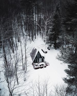 Image post by @n.dambro_ on Instagram
