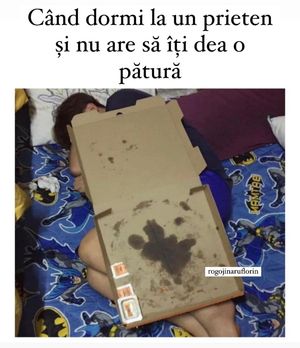 Image post by @rogojinaruflorin on Instagram