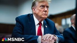 Video post by @msnbc on YouTube