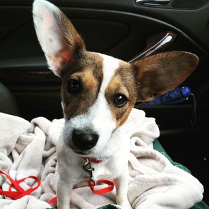 Image post by @snaffle_it on Instagram