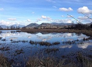 Image post by @tourismabbotsford on Instagram