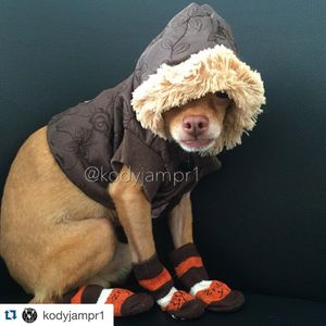 Image post by @nickyjam on Instagram