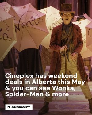Image post by @curiocitycalgary on Instagram