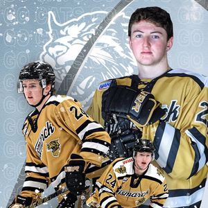 Image post by @bismarckbobcats on Instagram