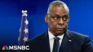 Video post by @msnbc on YouTube