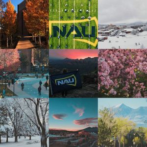 Image post by @nauflagstaff on Instagram