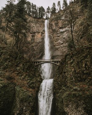 Image post by @nikguiney on Instagram