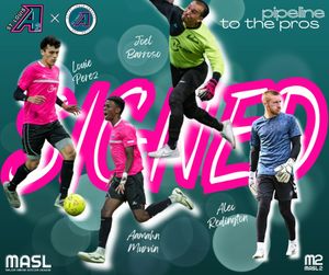 Image post by @stlouisambush on Instagram