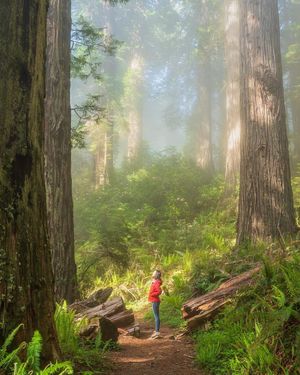 Image post by @nationalparkscollective on Instagram