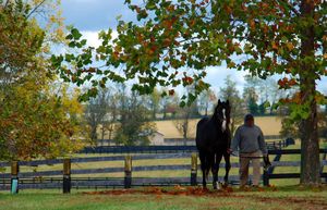 Image post by @spendthriftfarm on Instagram